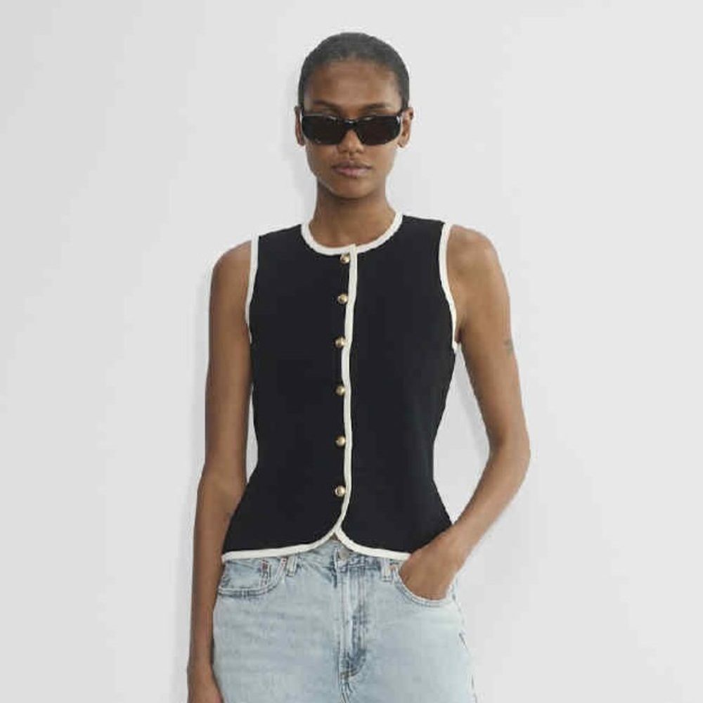Aritzia Sweater Vest